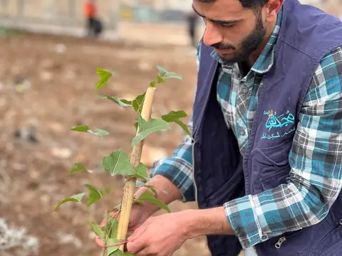 متطوع يزرع شجرة في نشاط زراعة